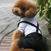 Suit Puppy Costume Jumpsuit Coat Clothes , Prince Tuxedo Bow Tie