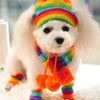 Socks Winter Pet Puppy Accessories For Dogs