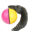 Pet Toy Beaver Weasel Rolling Motor Ball